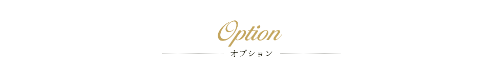 OPTION